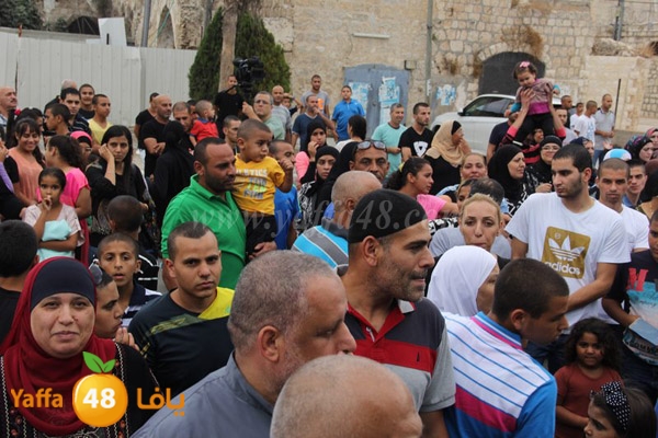 7ojaj lud arrive3j (3).JPG